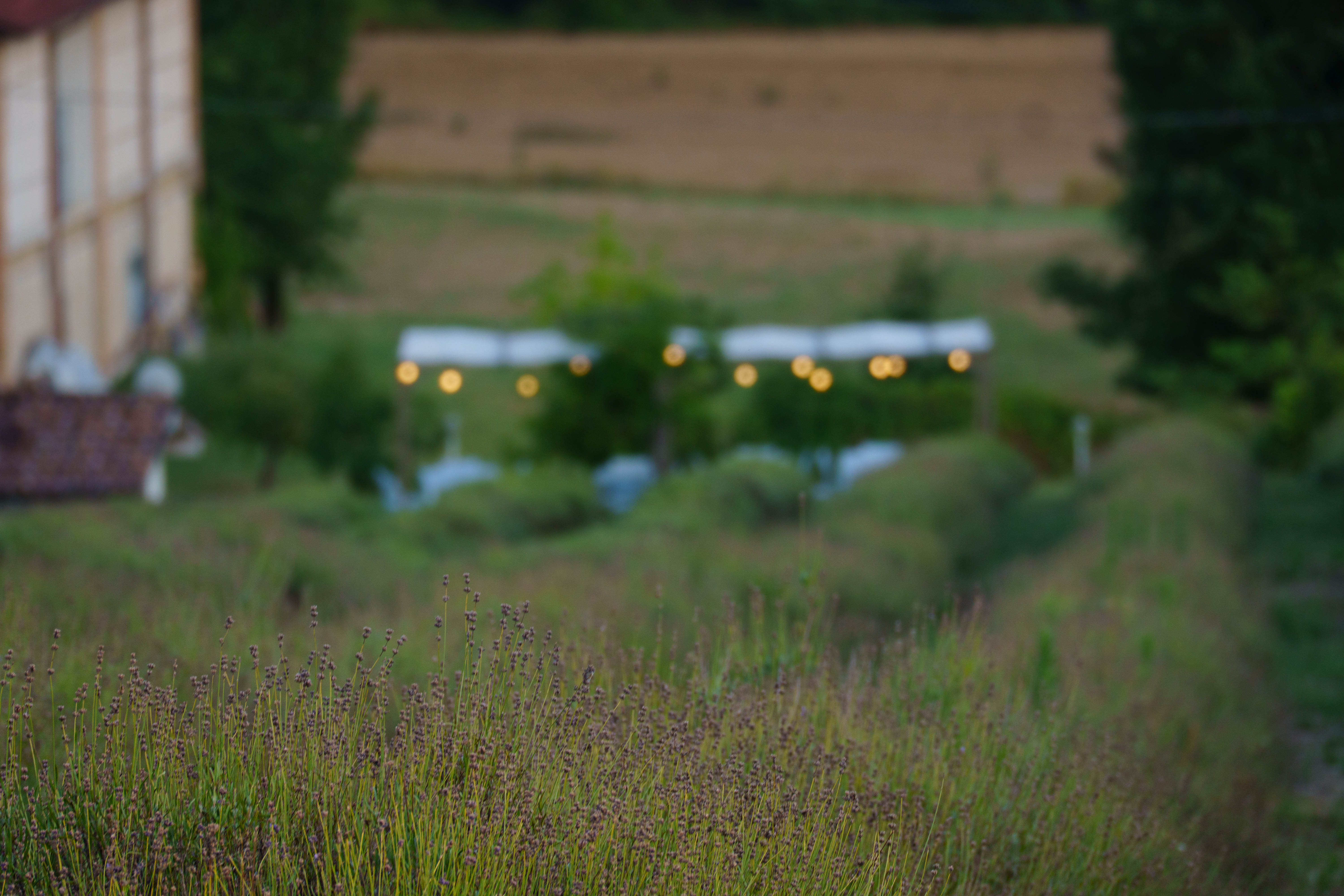 Giardino al tramonto con luci soffuse